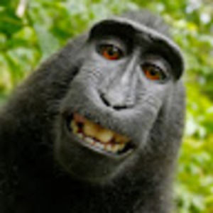 Meet your Posher, Cade